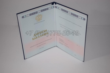 Диплом Бакалавра 2025г ГОЗНАК в Майкопе